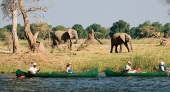 Groepsreizen naar Zuid-Afrika