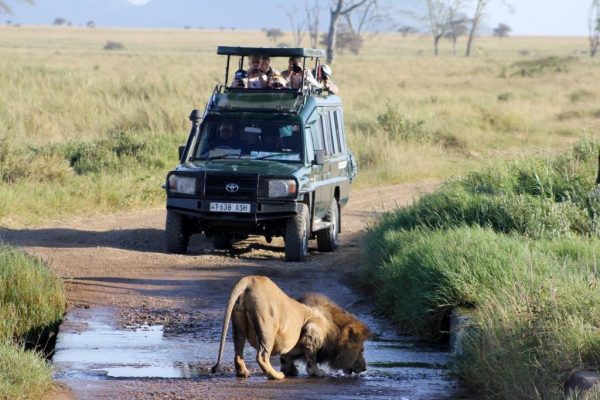 Inpaklijst - African Travels - Wat neem je mee op reis?