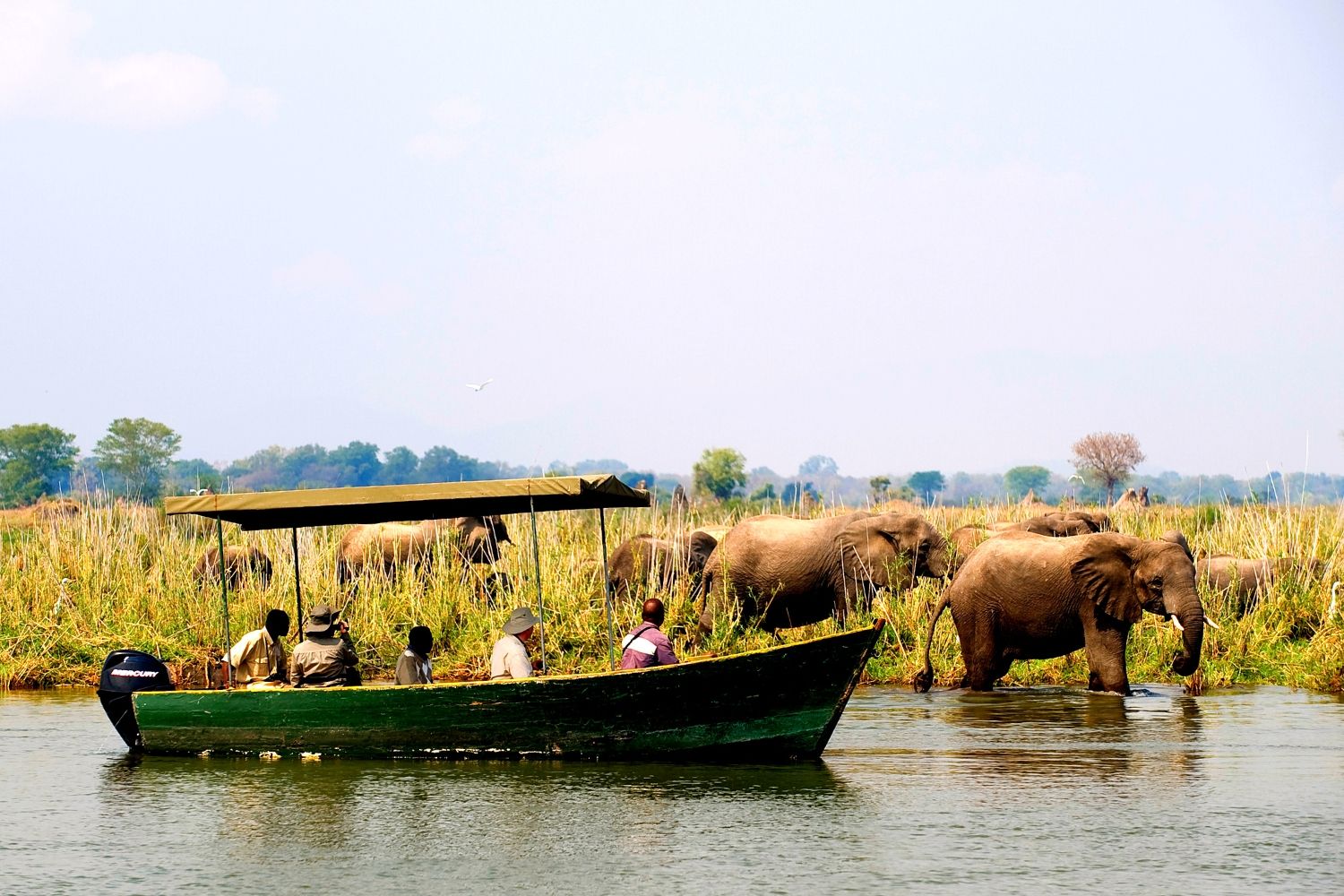 safari by boat