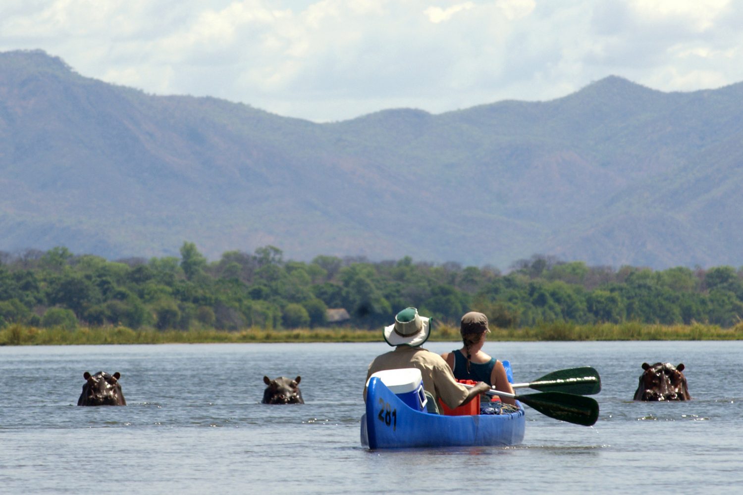 6 days Mana Pools Canoeing Safari African Travels