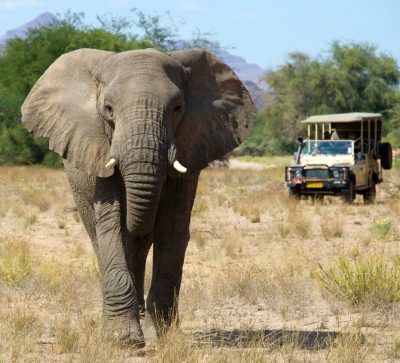 paklijst safari zuid afrika