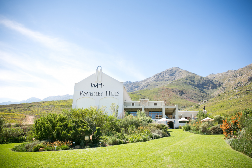 12 days Luxury fly-in South Africa- Safari, Cape & Wine - African Travels
