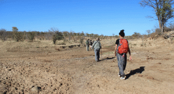 5 redenen waarom een wandelsafari met Leon Varley een must is!
