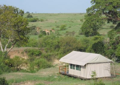 safari kenia 10 dagen