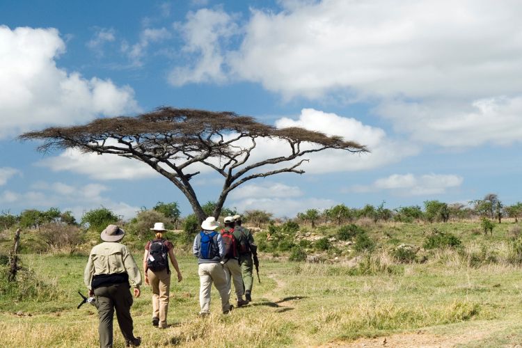 What are the (health) benefits of an African Safari Holiday?